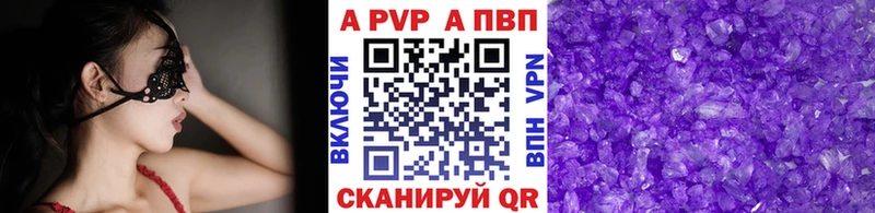 закладки  Кашин  А ПВП СК 