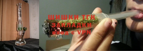 прущие грибы Бугульма