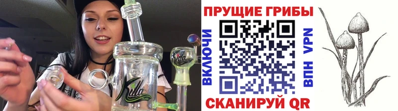 Галлюциногенные грибы мухоморы  Кашин 